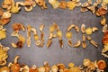 Word made of pieces of dried fruits on a dark cement background in a fruit frame. Caption: Snack