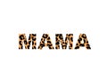 Word Mama with leopard print isolated on a white background for poster or banner. Vector illustration