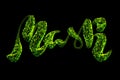 The word Mask is hand written in bright green luminous particles and isolated on a black background.