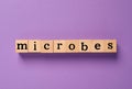 Word Microbes made with wooden cubes on purple background, flat lay