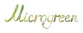 Word Microgreen. Superfood snack, healthy eating, plant diet, vegan concept. Horizontal, wide screen banner format with