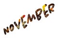 The word November written on a background of colorful autumn leaves Royalty Free Stock Photo