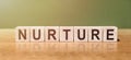 Word NURTURE made with wood blocks on a green-brown background