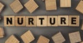 The word NURTURE on small wooden blocks at the desk. Top view