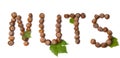 Word nuts Royalty Free Stock Photo