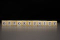 The word OPPORTUNITY written on wooden cubes isolated on a black background