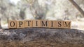 The Word Optimism was created from wooden cubes. Photographed on the tree.. Royalty Free Stock Photo