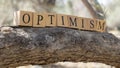 The Word Optimism was created from wooden cubes. Photographed on the tree.. Royalty Free Stock Photo