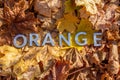 The word orange laid with metal letters over autumn fallen leaves - closeup with selective focus