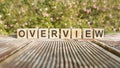 the word Overview is written on wooden cubes. the blocks are located on green grass with sunlight. selective focus. Royalty Free Stock Photo