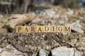 The Word PARADIGM was created from wooden cubes. Photographed on the wall.