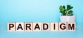 The word PARADIGM is written on wooden cubes near a flower in a pot on a light blue background