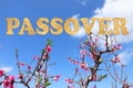 Word Passover made of Matzoh the traditional Jewish bread for Pesach holiday. Blooming spring orchard.