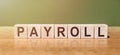 Word PAYROLL made with wood building blocks on a green background