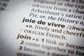 Word or phrase Joie de vivre in a dictionary. Royalty Free Stock Photo