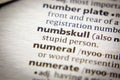 Word or phrase Numbskull in a dictionary Royalty Free Stock Photo