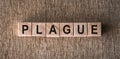 The Word Plague Spelled in Scrabbled Wood Blocks