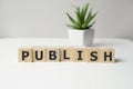 Word PUBLISH on wooden cubes on white background