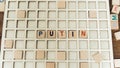 The word PUTIN made of wooden blocks with alphabet letters politics concept
