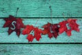 Word sale of letters carved on colorful red bright maple leaves covered with the first frost lie on a wooden green table autumn Royalty Free Stock Photo