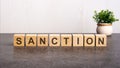 word sanction made with wood building blocks Royalty Free Stock Photo