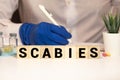 Word Scabies made with wood building blocks