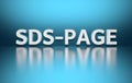 Word SDS-PAGE