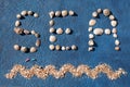 Word sea made of seashells, decorative sea wave, golden sand, two jumping dolphins on blue background top view close up