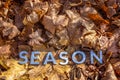 The word season laid with metal letters over yellow autumn fallen leaves - closeup with selective focus