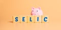 The word selic written on wooden cubes with a piggy bank. Royalty Free Stock Photo