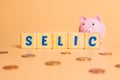 The word selic written on wooden cubes with a piggy bank and some brazilian coins.