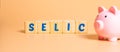 The word selic written on wooden cubes with a piggy bank.