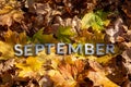 word September laid with silver metal letters on fallen maple leaves on autumn forest floor
