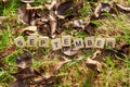 The word September is written in wooden letters on a background of fallen leaves. Autumn concept and calendar concept. Copy space