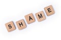 The word SHAME