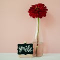 Word Smile written chalk on a mini chalkboard. Floral lifestyle composition in front of pale pink pastel background.