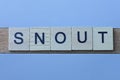 Word snout made from wooden gray letters