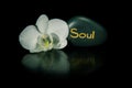 Word soul and white orchid Royalty Free Stock Photo