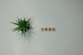 The word Soul written in wooden letter tiles on a white background