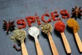 The word spice is written on a black background. Various spices ground turmeric pepper ginger cinnamon herb seasoning salt paprika Royalty Free Stock Photo