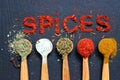 The word spice is written on a black background. Various spices ground turmeric pepper ginger cinnamon herb seasoning salt paprika Royalty Free Stock Photo