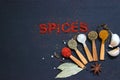 The word spice is written on a black background. Various spices ground turmeric pepper ginger cinnamon herb seasoning salt paprika Royalty Free Stock Photo