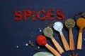 The word spice is written on a black background. Various spices ground turmeric pepper ginger cinnamon herb seasoning salt paprika