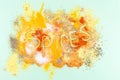 Word spices written in colorful seasoning background