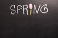 Word spring handwritten on blackboard Royalty Free Stock Photo