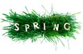 Word SPRING made of wooden letters on grass isolated on white Royalty Free Stock Photo