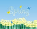 Spring vector background. yellow flowers, grass and butterflies on blue background Royalty Free Stock Photo