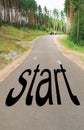 The word START is written on the highway in the middle of an empty asphalt road in a natural Park, between tall pines