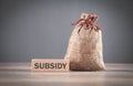 Word Subsidy on wooden block with a money bag Royalty Free Stock Photo