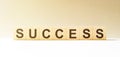Word SUCCESS made with wood building blocks Royalty Free Stock Photo